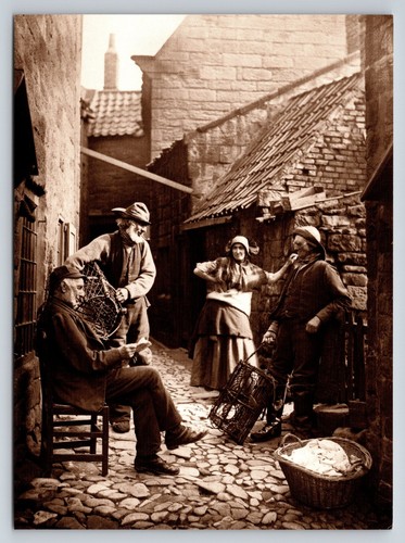 Robin hood bay - robin, frank