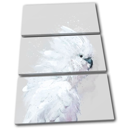 White cockatoo exotic bird - white,