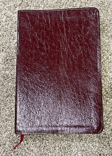 New american standard bible - american,