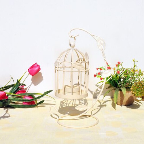 Bird cage decoration - bird, table
