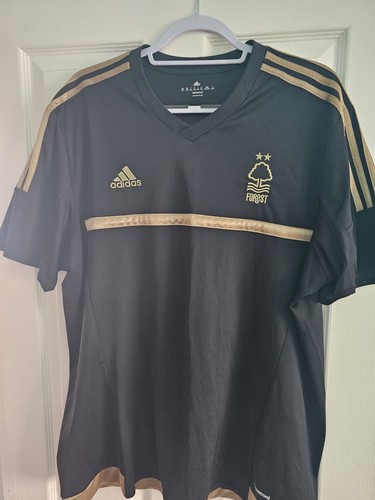 Nottingham forest 150th - nottingham,
