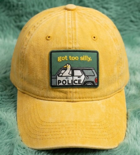 Got too silly goose police - too,