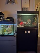 FLUVAL large aquarium fish tank used 4f x 2f  x 1f
