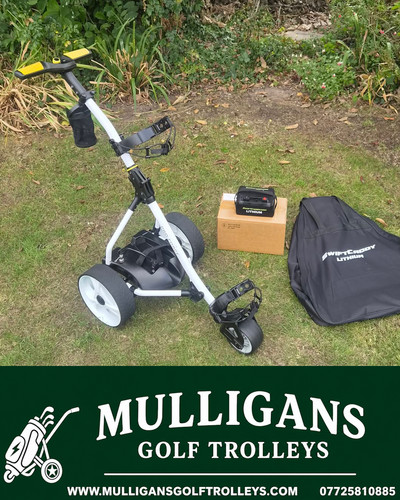 Used pro master electric - master, golf