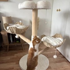 Extra Large Cat Trees Tall Solid Wood Cat Tree Tower with Spacious Wicker Basket