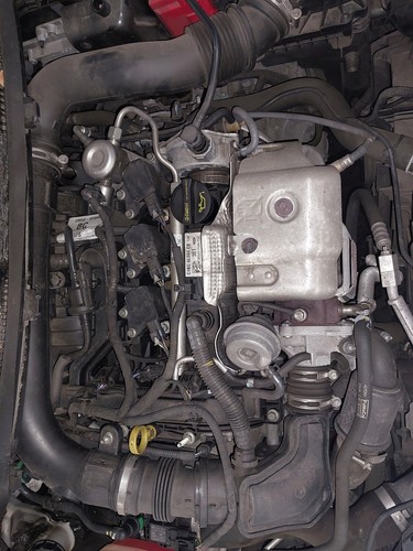 Engine ford fiesta mk7 - mk7, fl