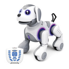 Electric RC Robot Dog
