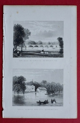 Antique engraving print -  antique,