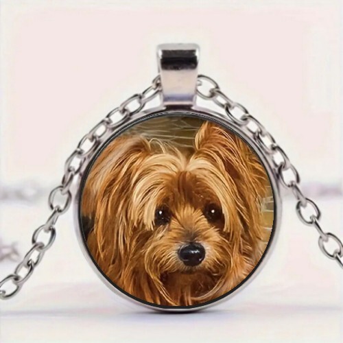 Cute animal pet dog - animal, pattern