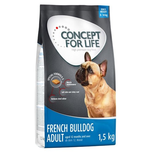 5kg french bull dog - french, adult