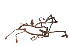 Fits DAF LF Engine Wiring Harness 4 Cylinder PX5 Euro 6 Part No 1712711 1707324