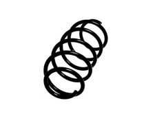 Coil Spring Front Fits Ford