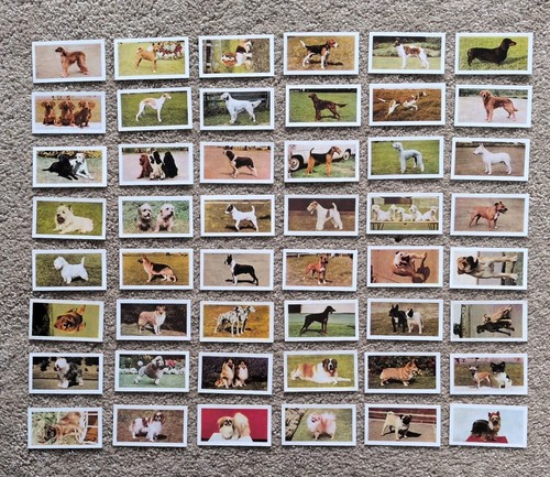 Horniman tea cards dogs - horniman's,