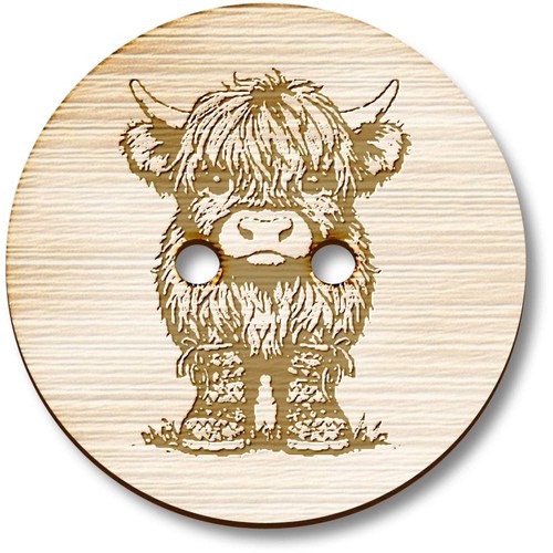 Baby highland cow - 'baby,