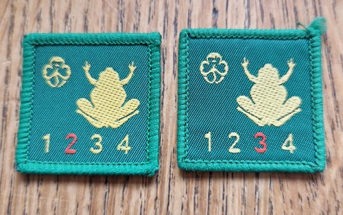 Girlguiding old swimmer stage - old,