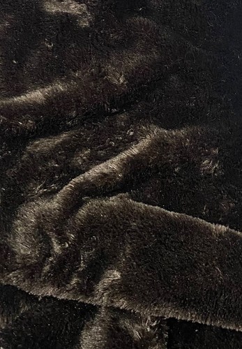 Dark brown bear - short, fur