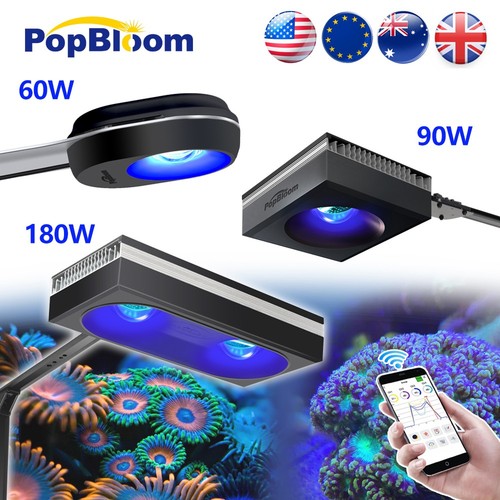 Popbloom 60w 90w 180w - 60w, wifi