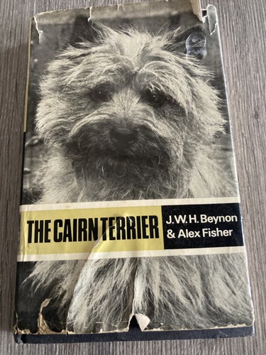 The cairn terrier beynon - cairn,
