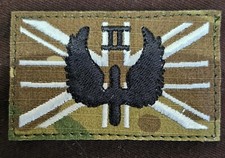 2 Squadron RAF Regiment Hook And Loop Badge 8x5 cms Rockapes