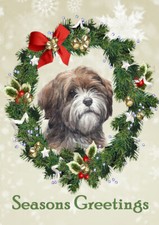 TIBETAN TERRIER SEASONS