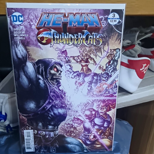 Comics man thundercats - dc, he-man/thundercats