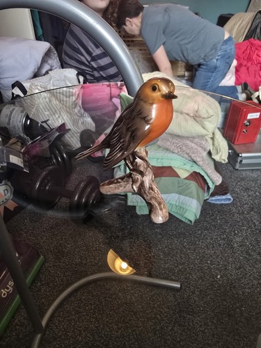 Goebel robin red breast - red, bird