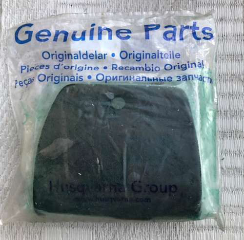 Air filter genuine - filter, (foam)