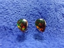 Ammolite Stainless Steel