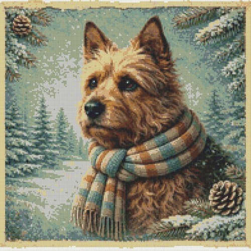 Australian terrier puppy dog - puppy,