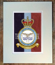 AIR SEA RESCUE CREST PRINTED