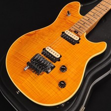 PEAVEY Wolfgang USA Edward Van