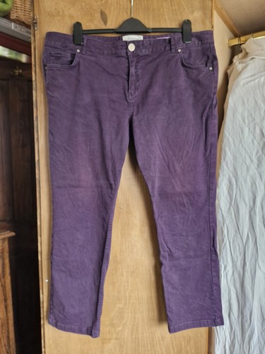 Debenhams mantaray purple - debenhams,