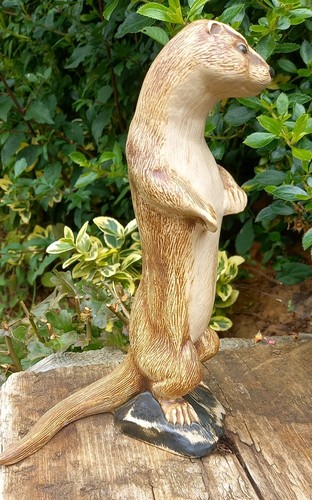 Purbeck otter wildlife series - purbeck,