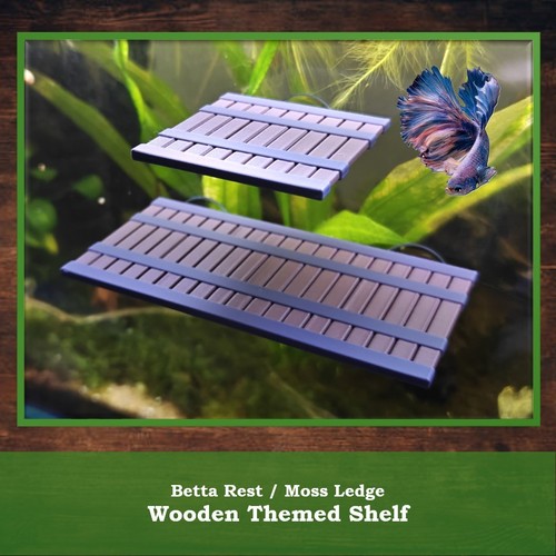 Aquarium shelf plant ledge - aquarium,