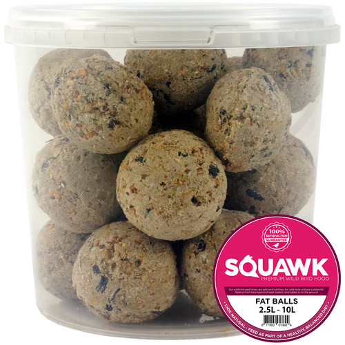 Squawk suet fat - squawk,