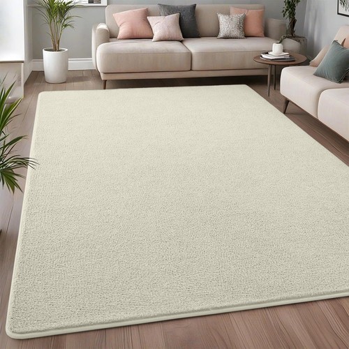 Fluffy rugs anti slip - fluffy, large