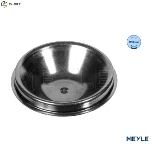 Cap wheel bearing 300 - 312, 1103