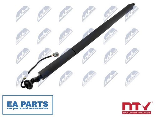 Gas spring boot cargo area - gas,