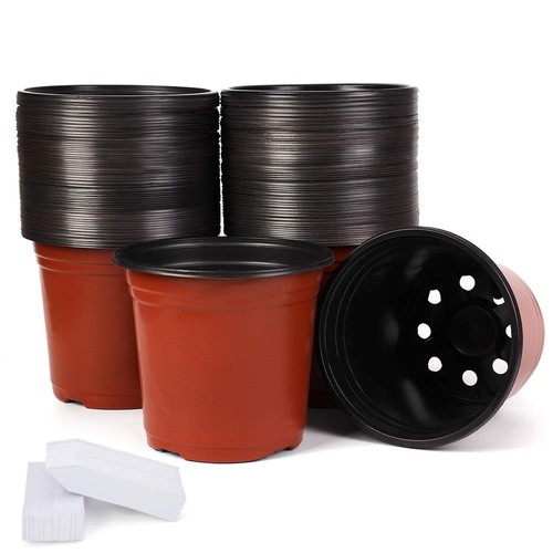 100 pack inch plastic - 100-pack, 6