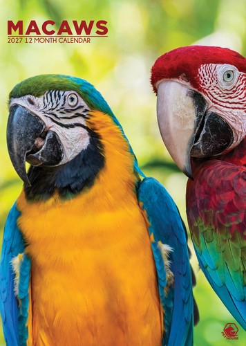 Macaws calendar 2027 cc - a3,