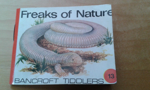 Bancroft tiddlers - -,