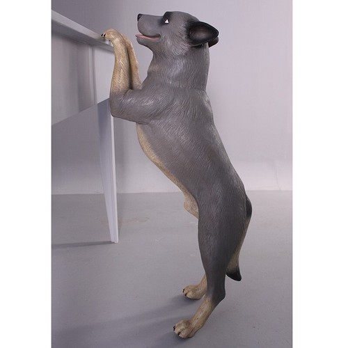 Blue heeler statue standing - statue,