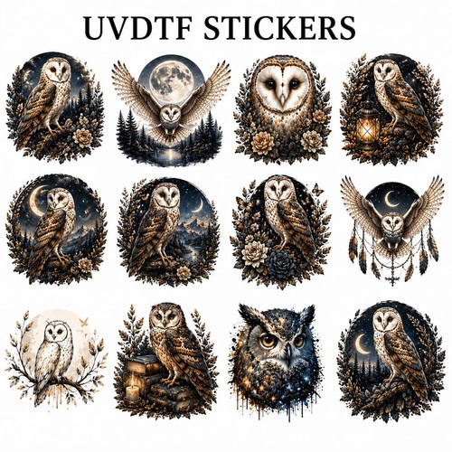 Night owl aesthetic vinyl - owl,