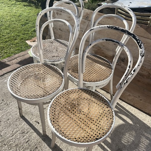 Dining chairs bentwood bistro - dining,