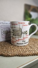 Human Skeleton Mug In Original Box Leonardo