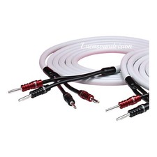 Chord Odyssey  X  Audio