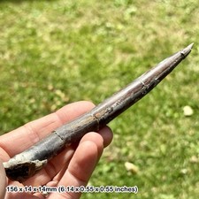 Belemnite – Belemnites explanatus Fossil, Kellaways Beds, Callovian, Jurassic: