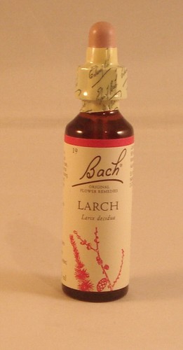 Bach flower remedies larch - remedies.,