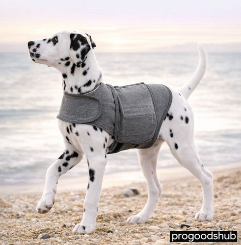 Dog anxiety jacket - jacket, vest