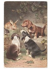 Antique Postcard Early 1900S